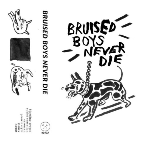 Album-art-for-Bruised-Boys-Never-Die-by-Bruised