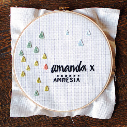 Album-art-for-Amnesia-by-Amanda-X