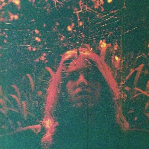 Album-art-for-Peripheral-Vision-by-Turnover