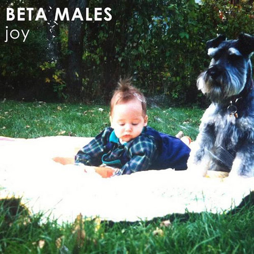 Album-art-for-joy-by-Beta-Males